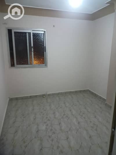2 Bedroom Apartment for Rent in Smoha, Alexandria - IMG-20251130-WA0007. jpg