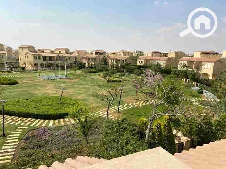 1000559409. jpg 1000559409. jpg