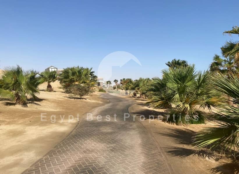 18 IMG-20240306-WA0177. jpg