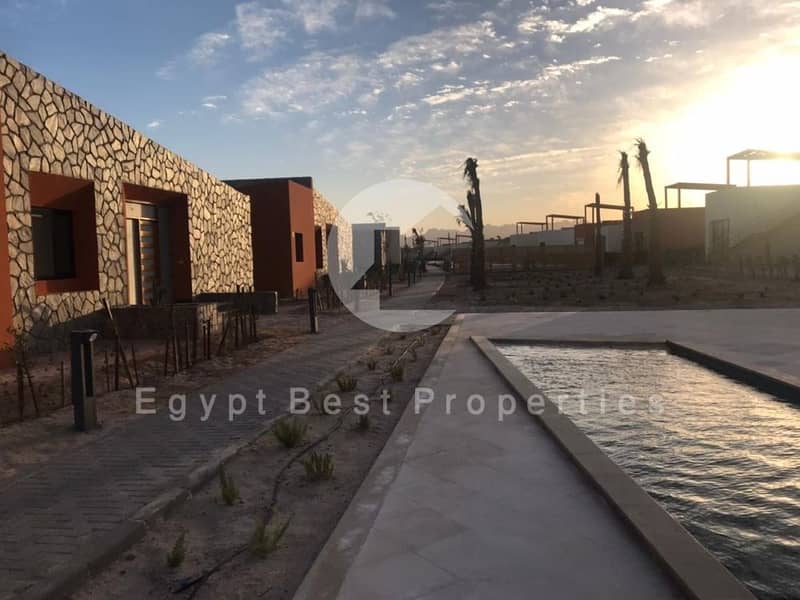 28 WhatsApp Image 2021-03-22 at 10.45. 07 AM (PF). jpeg