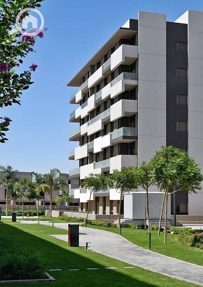 10 472928342_3998770070367573_5964334744810904196_n. jpg