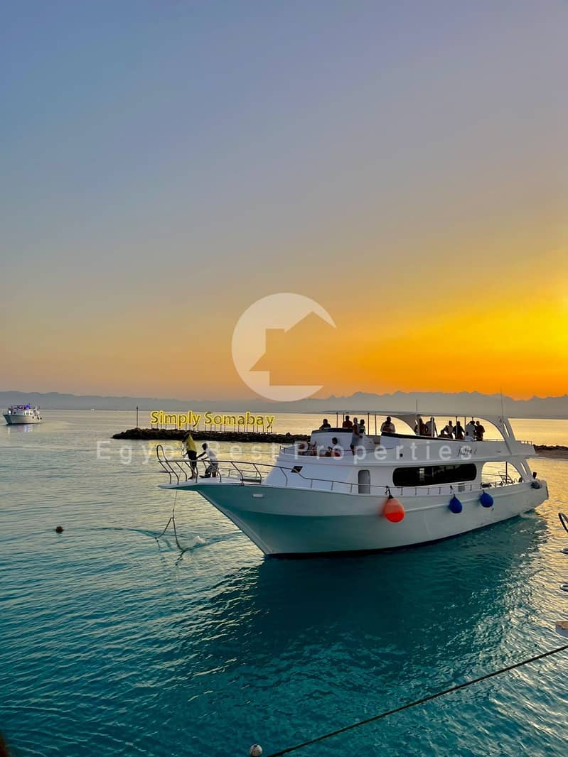 11 WhatsApp Image 2025-09-28 at 15.10. 33_11bd8d93. jpg