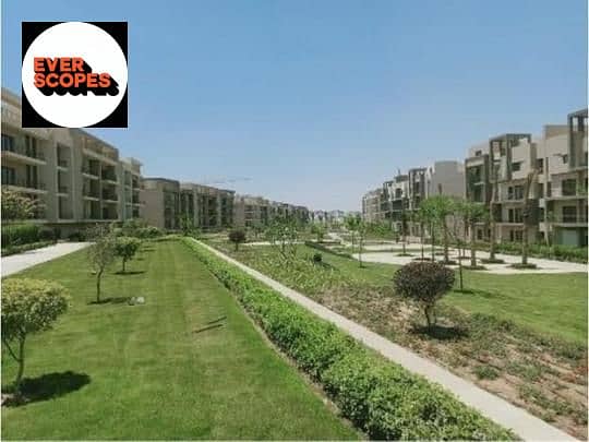 6 95600d6e-e38d-41f6-a5ed-15a89c9db2ed. jpg