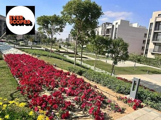 4 3147ddc6-f389-42a9-b050-9e573fcf8619 - Copy. jpg