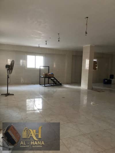 Factory for Rent in New Cairo, Cairo - IMG-20251127-WA0044. jpg