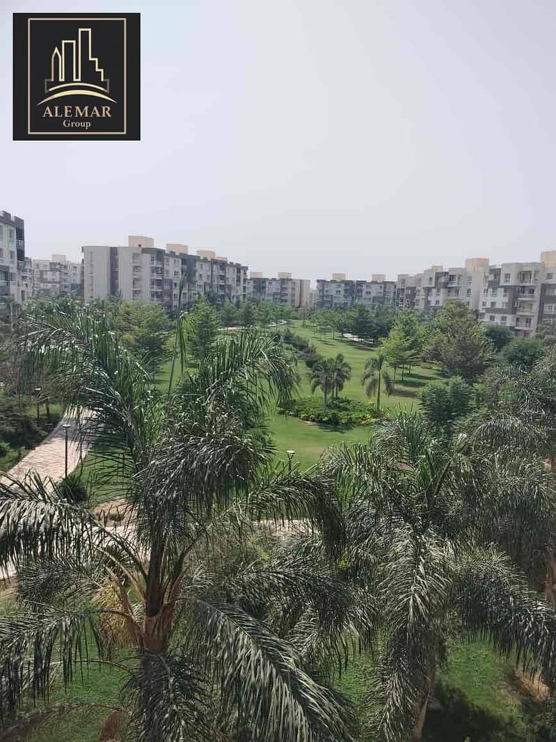 11 d170b4f6-b999-422a-9341-b9cd69d40b5e. jpg