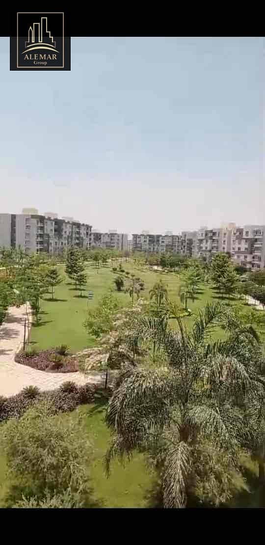 12 d8b146aa-3cc6-4eda-a9ee-cd14b21db59c. jpg