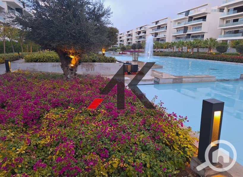 7 WhatsApp Image 2024-02-14 at 3.06. 07 PM. jpg