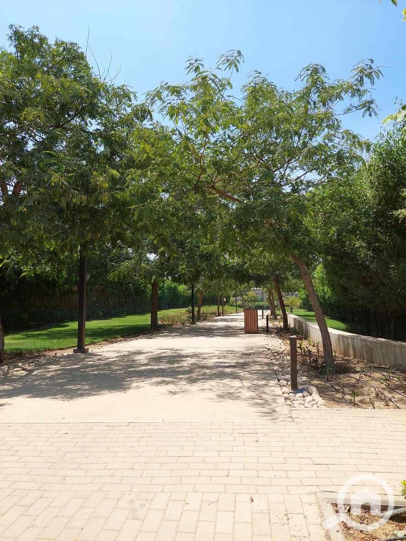 10 904d1956-4fae-45cb-b6b8-54941c9d6ff1. jpg