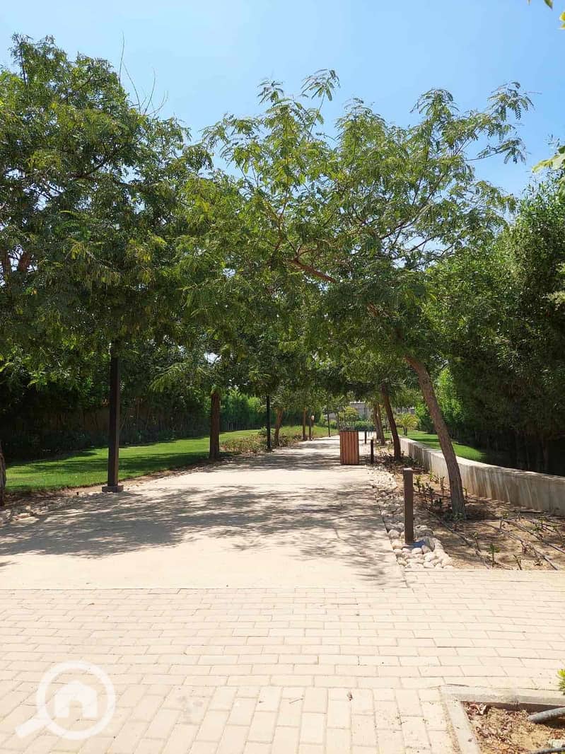 8 904d1956-4fae-45cb-b6b8-54941c9d6ff1. jpg