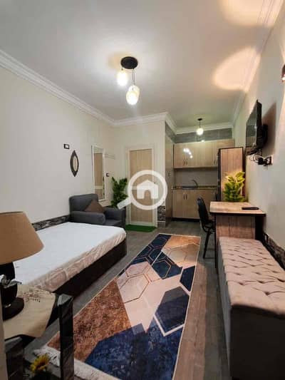 غرفة 1 غرفة نوم للايجار في الشيخ زايد، الجيزة - 8102f8af-23c8-4ac3-8a6f-fa3751fa3253. jpg