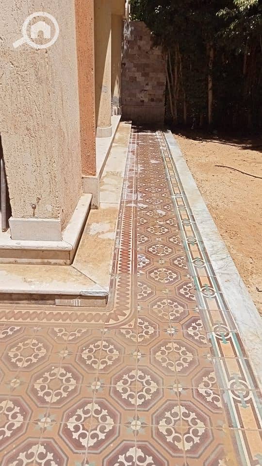 10 46e36b40-22f0-429d-a58d-74559bd89af6. jpg