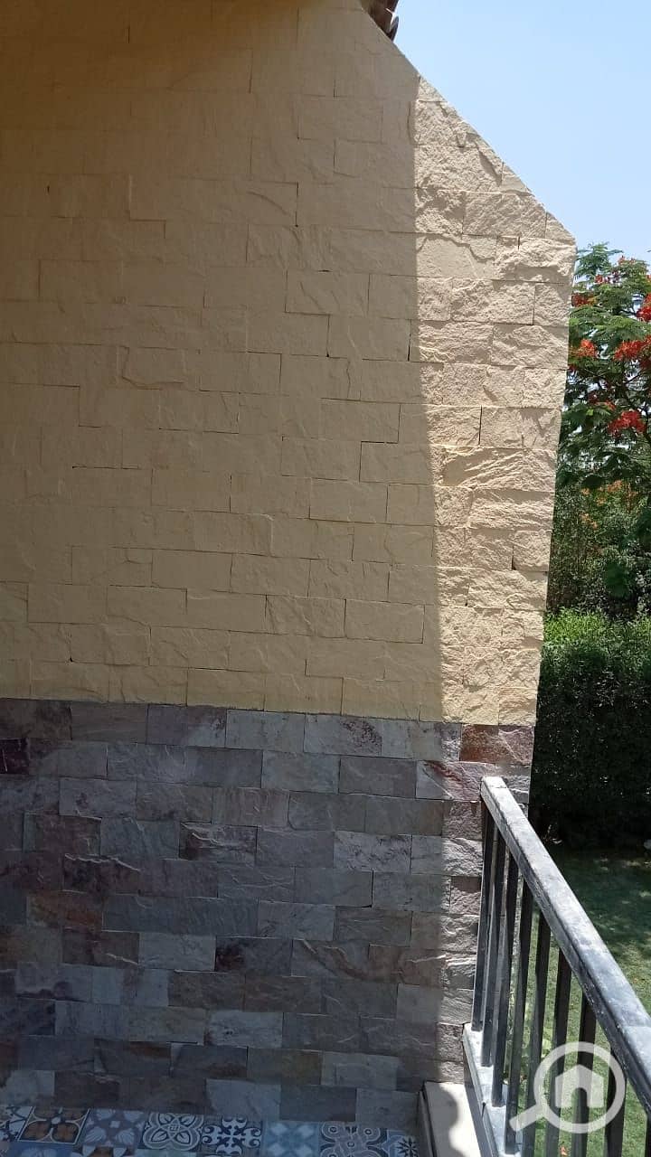 12 137bf856-4c11-40b2-9c2c-c80fdd91f13f. jpg