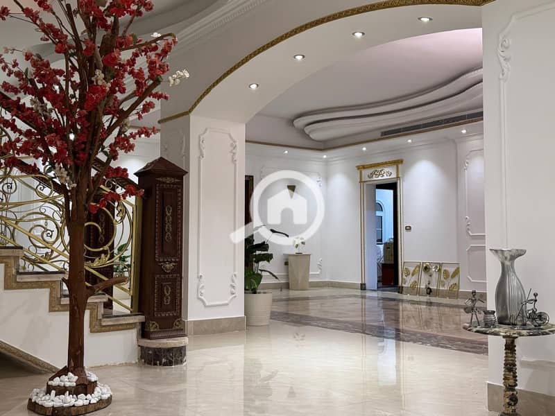 20 951e7b3b-b324-431b-aeef-4139ce73927a. jpeg