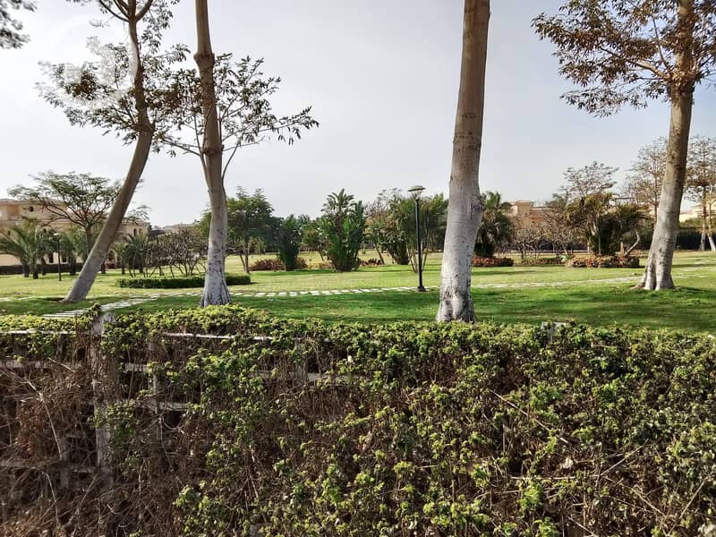 2 32cc7a64-15c5-4b8c-b907-c921ff3381ec. jpeg