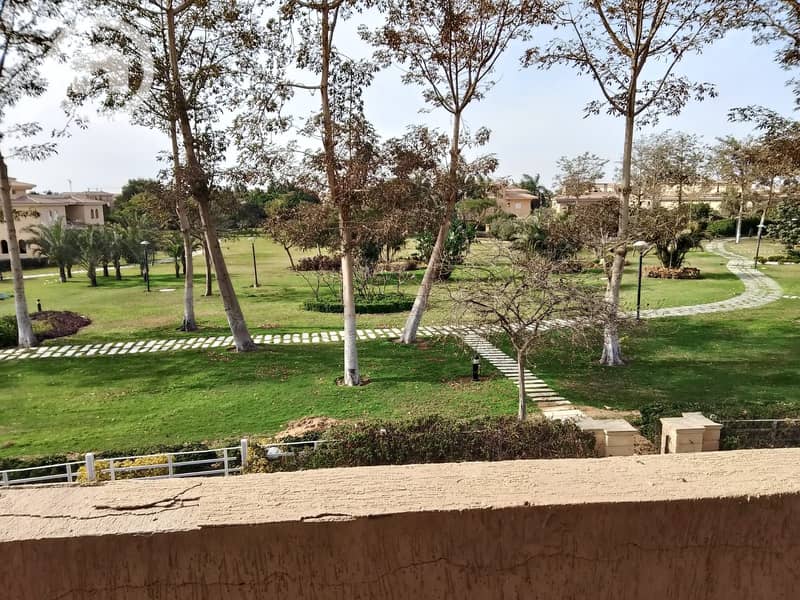 17 4011364b-55ff-4a56-81c7-741968e9c09c. jpeg