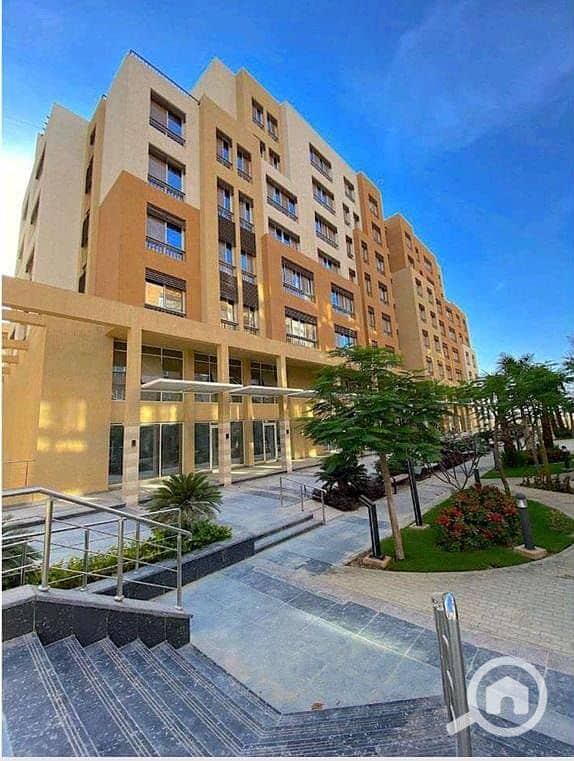 2 WhatsApp Image 2025-05-12 at 18.11. 57_1efe7607. jpg