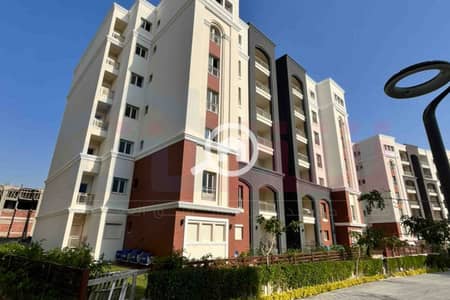 شقة 5 غرف نوم للبيع في عجمي، الإسكندرية - IMG-20251126-WA0031. jpg