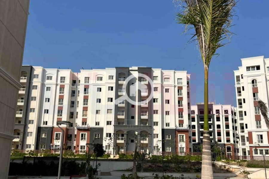 11 IMG-20251126-WA0040. jpg