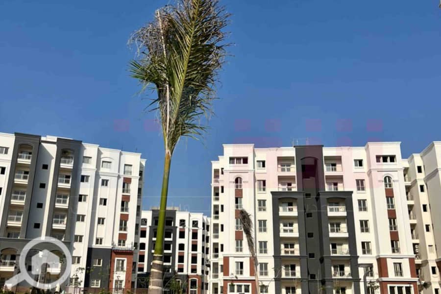 14 IMG-20251126-WA0043. jpg