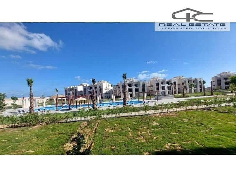 4 9437a610-f315-4e2b-92f7-6d962f1cba01. jpg