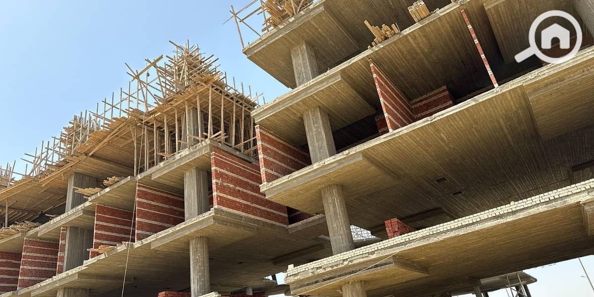 5 50e9e633-d29f-41a2-ba53-e77c5343f416. jpg