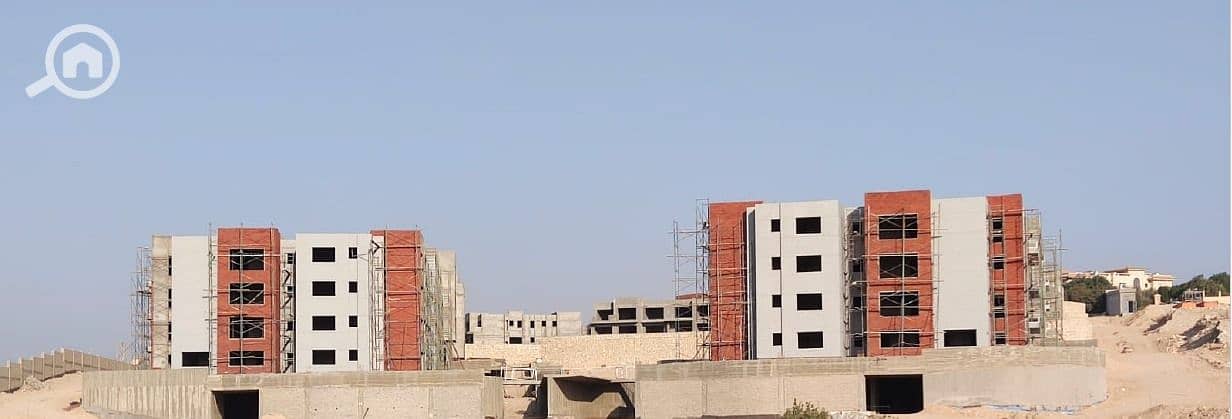 6 WhatsApp Image 2024-08-15 at 12.08. 07_d29ee58d. jpg