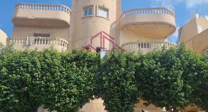 2 photo_5866467320073489338_x. jpg