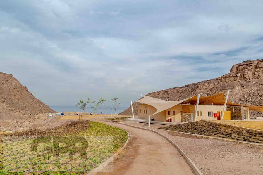 4 20181612_Ilmonte_Galala_CU-57. jpg