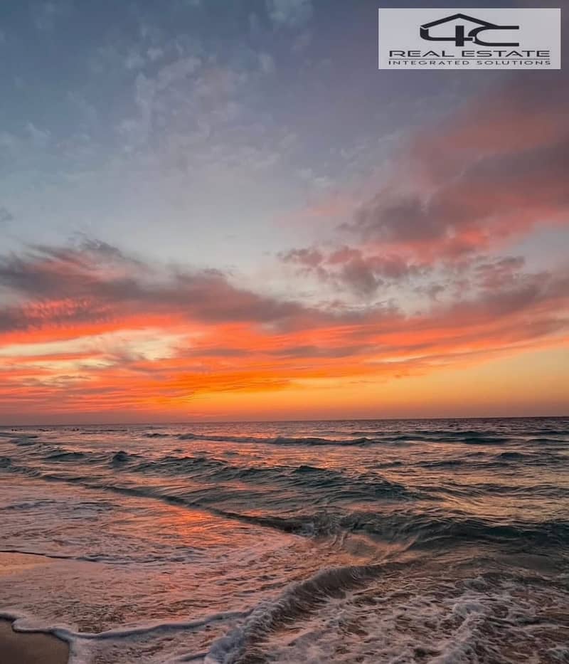 4 WhatsApp Image 2025-08-25 at 10.31. 22 PM. jpeg