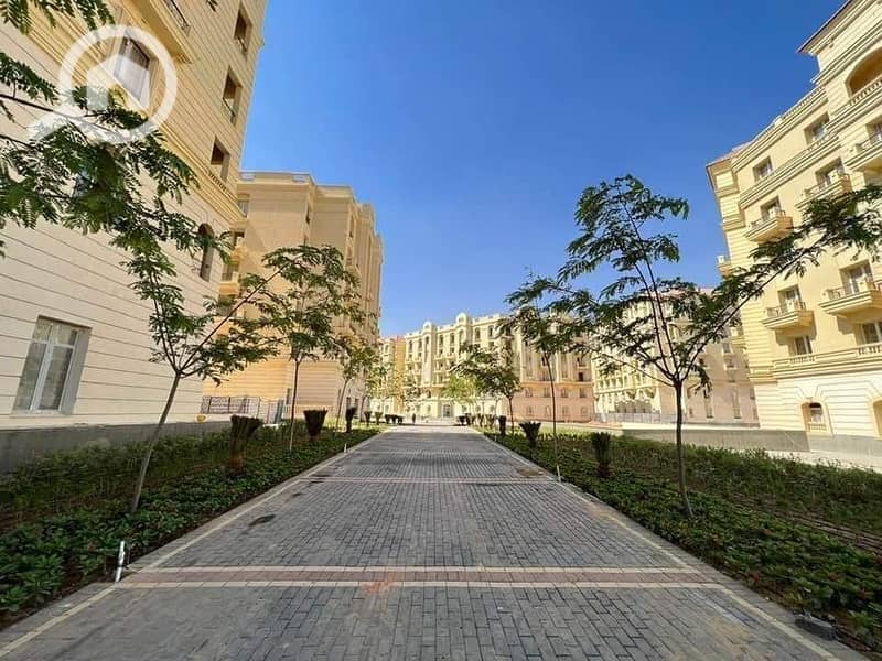 3 8bf2a5b9-8126-4b3b-9acf-4f500f715bbc. jpg