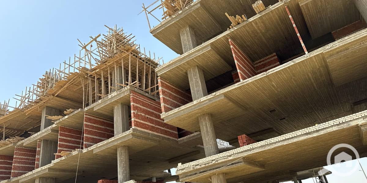 5 50e9e633-d29f-41a2-ba53-e77c5343f416. jpg