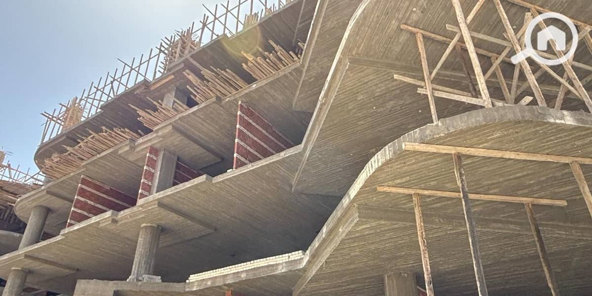 12 c1f22dd3-6fac-4f2e-b599-4a9bff9526dc. jpg