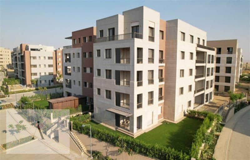 7 738ef6_e08ada135fa341ef99b3df97e70e5775~mv2. jpg