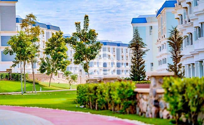 9 Mountain-View-Hyde-Park-17. jpg