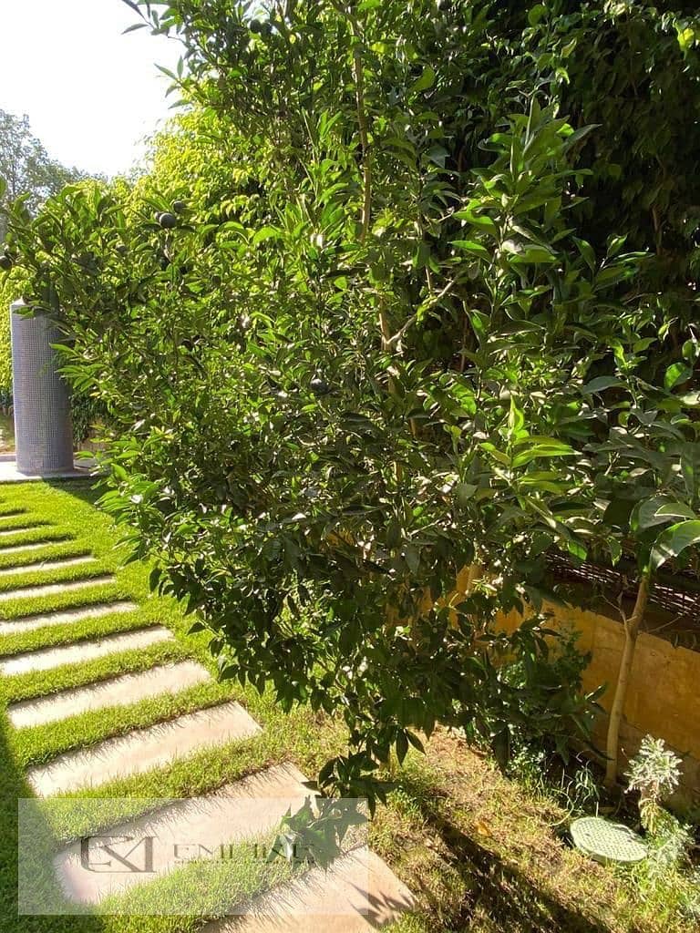 6 IMG-20251129-WA0166. jpg