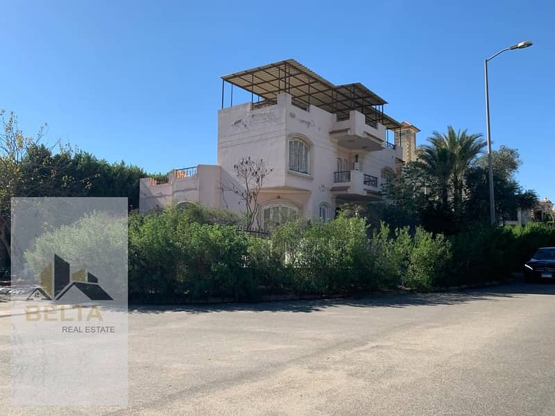 12 IMG-20250427-WA1297. jpg