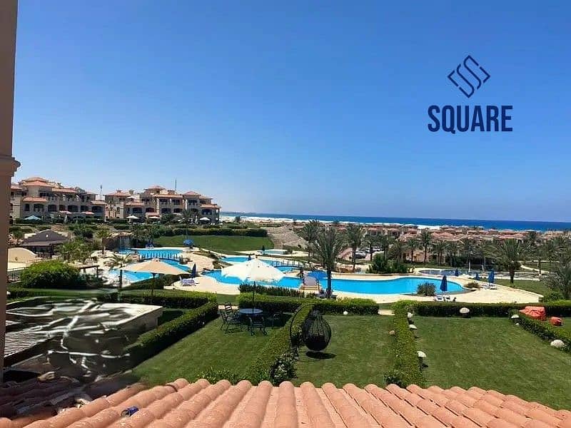 3 33494678-800x600. jpg