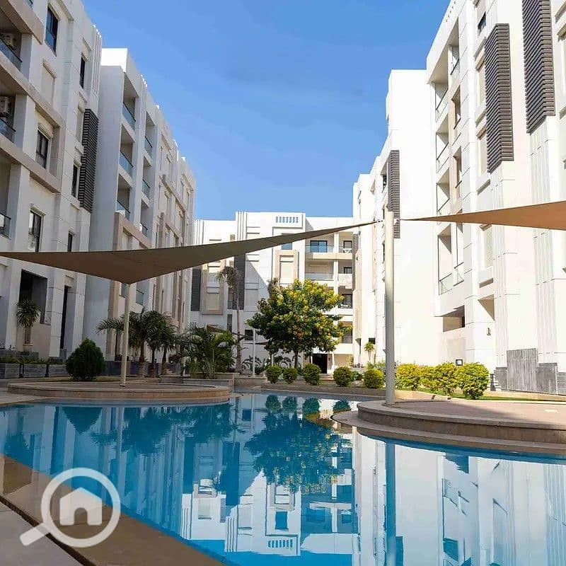 4 32749011-800x600. jpg