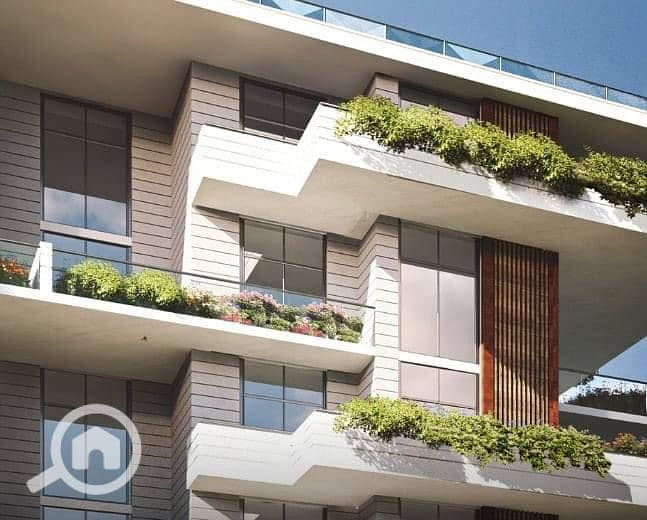 10 159083898_877477013091654_6026108810350388532_n - Copy. jpg