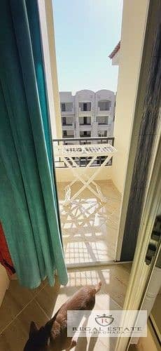 5 WhatsApp Image 2023-11-14 at 4.45. 14 PM_ad15c_lg. jpg