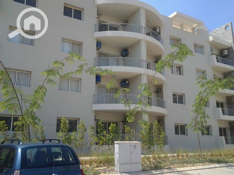 6 55e86774df1e8. jpg