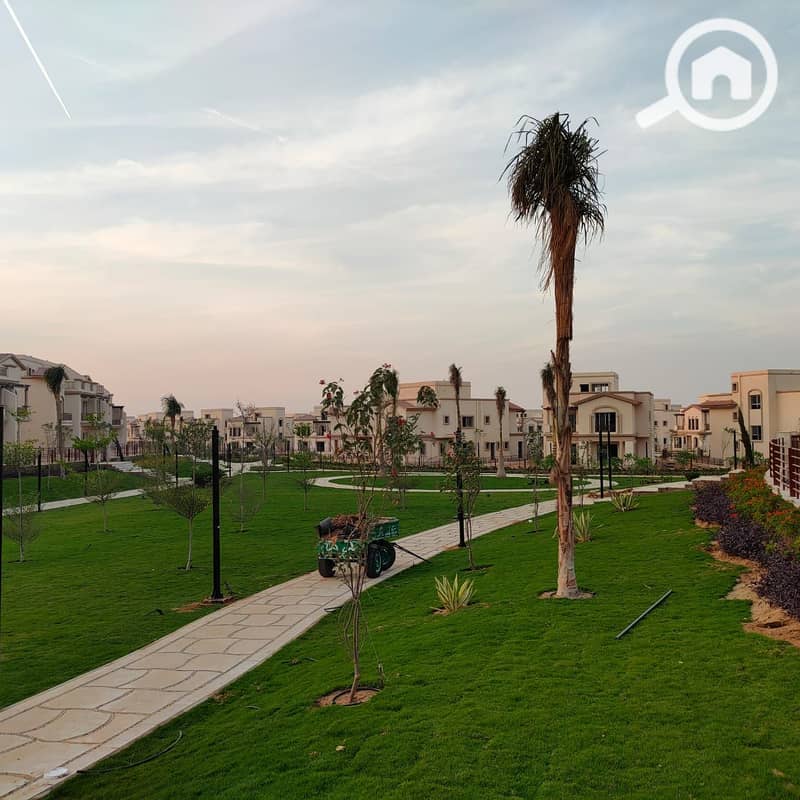 9 d909f21f-f7cd-4d3e-8ca0-63d068014eff. jpg