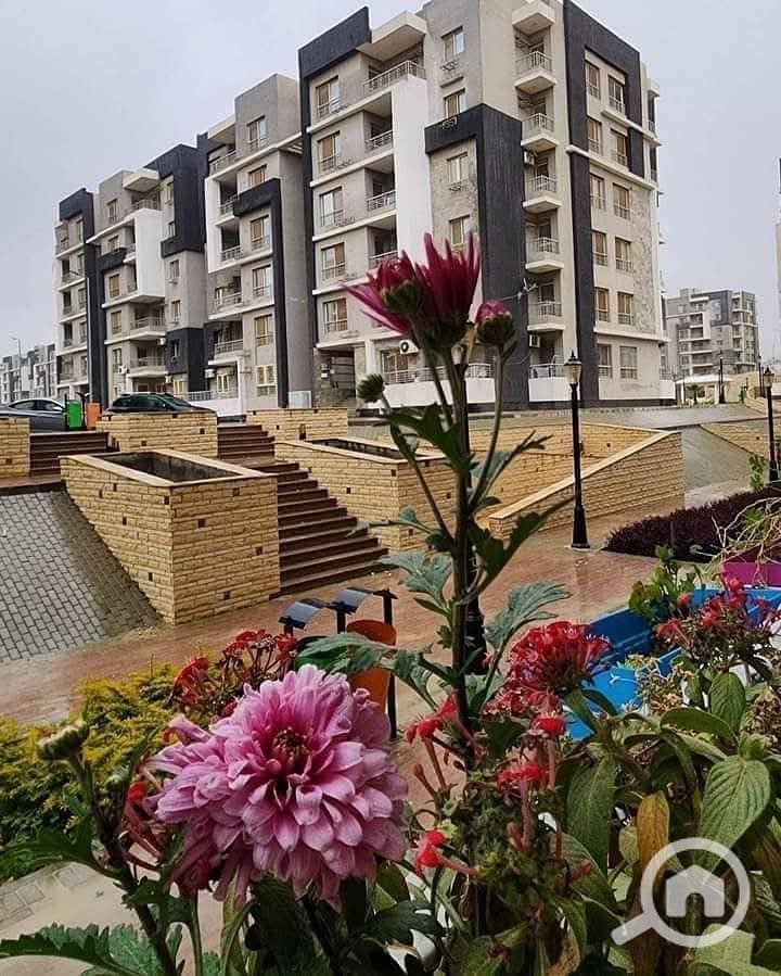 9 568729730_2041948013246369_1695613831844935082_n. jpg