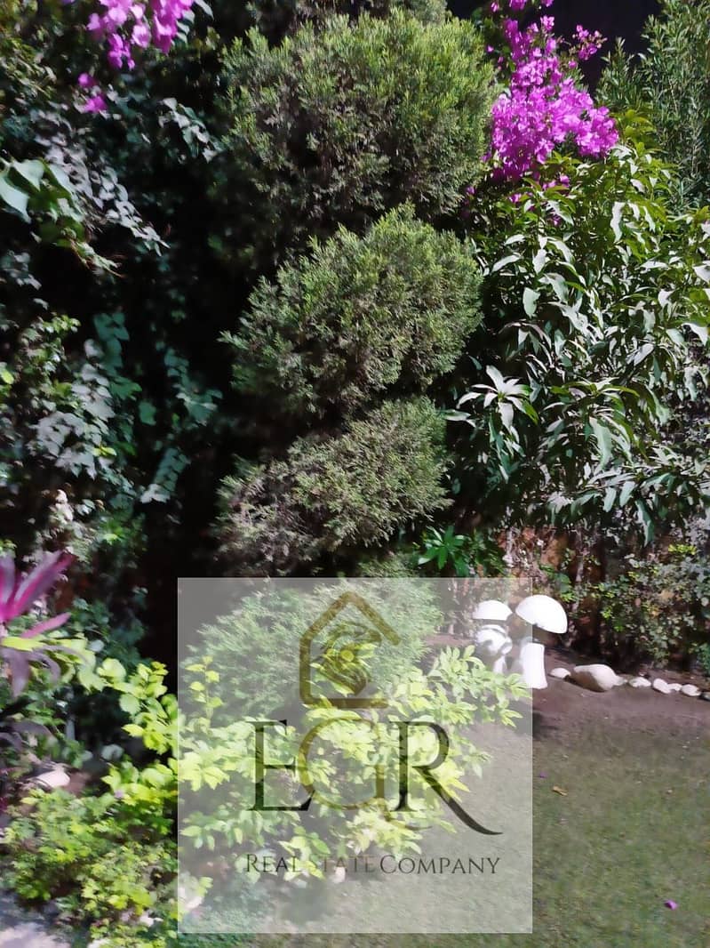 5 19caaeaf-6ce1-47e9-b16e-f1153d2e30a8. jpeg