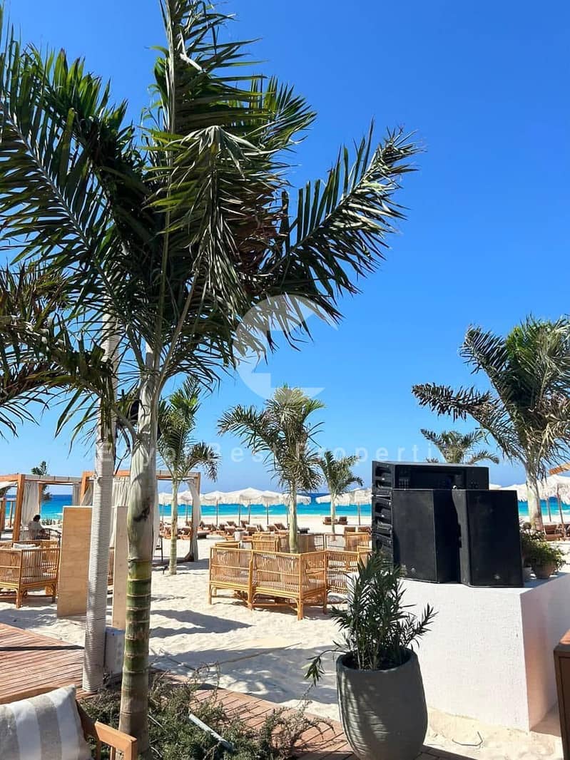 7 518385698_1148538013970714_1909543415555093483_n. jpg