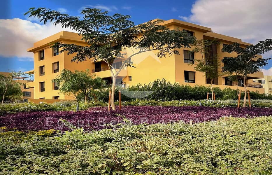 4 IMG-20250107-WA0035. jpg