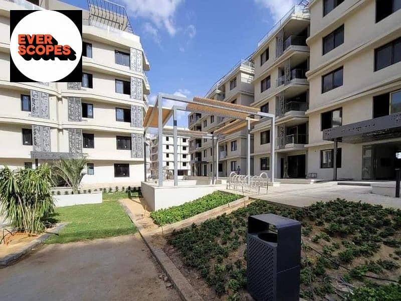 10 387868362_3552083598337565_8007104011500740783_n. jpg