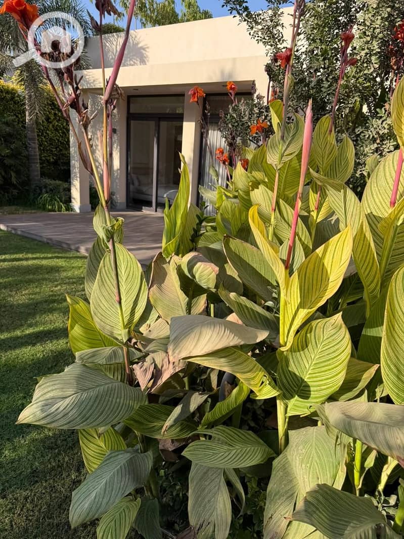 4 IMG-20251201-WA0165. jpg