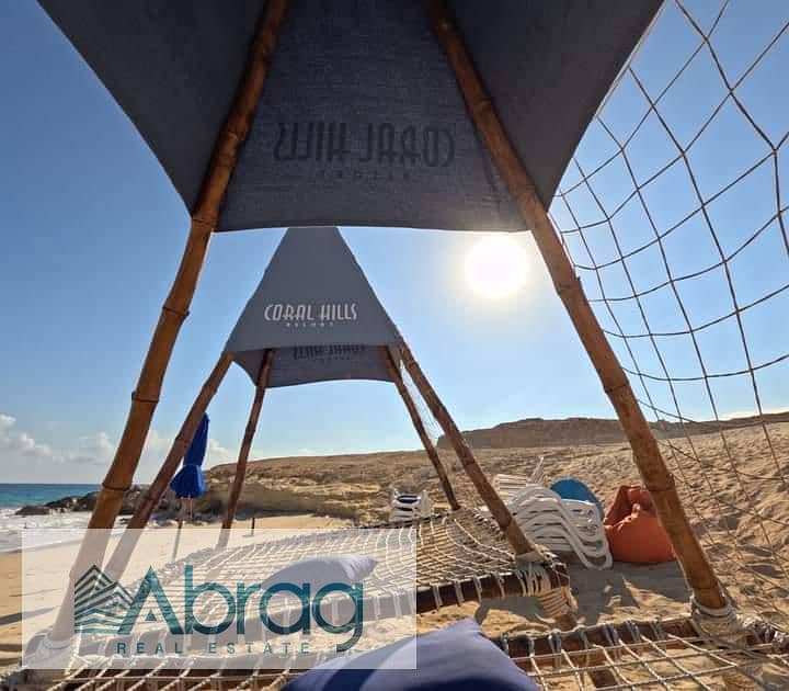 3 WhatsApp Image 2025-12-01 at 13.17. 05_4050c48f. jpg